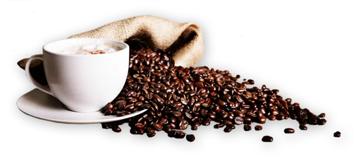 Visual representing The Community Before the Café